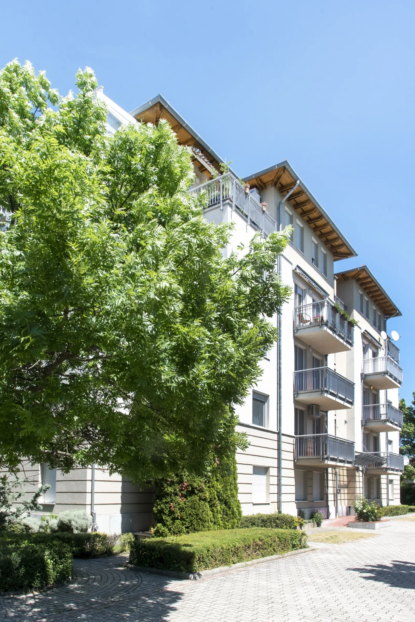 Hallway connecting the living spaces