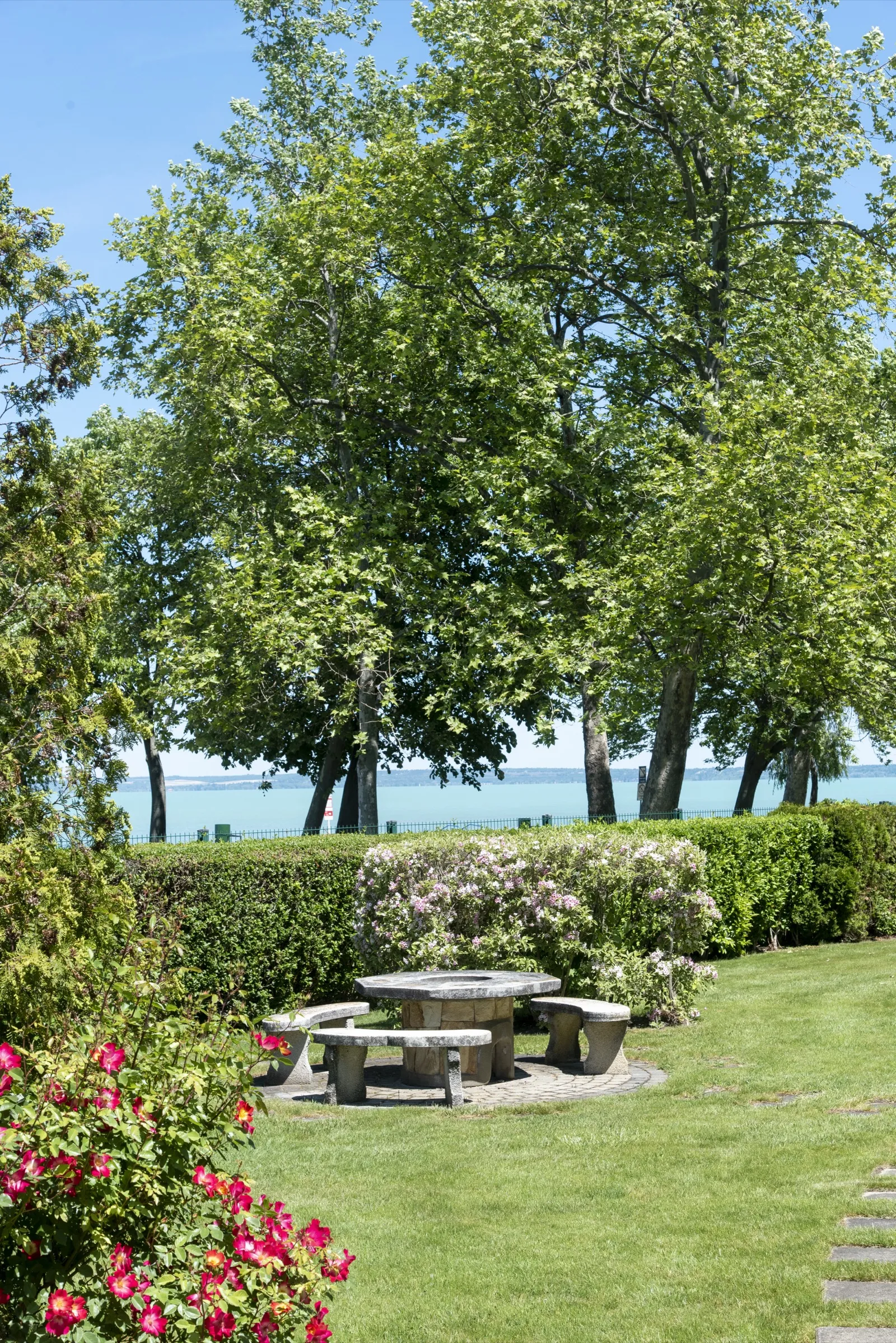 Green and gold kitchen panorama